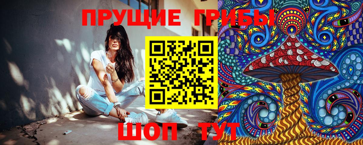 Псилоцибиновые грибы прущие грибы Новоуральск